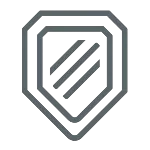 NSVV